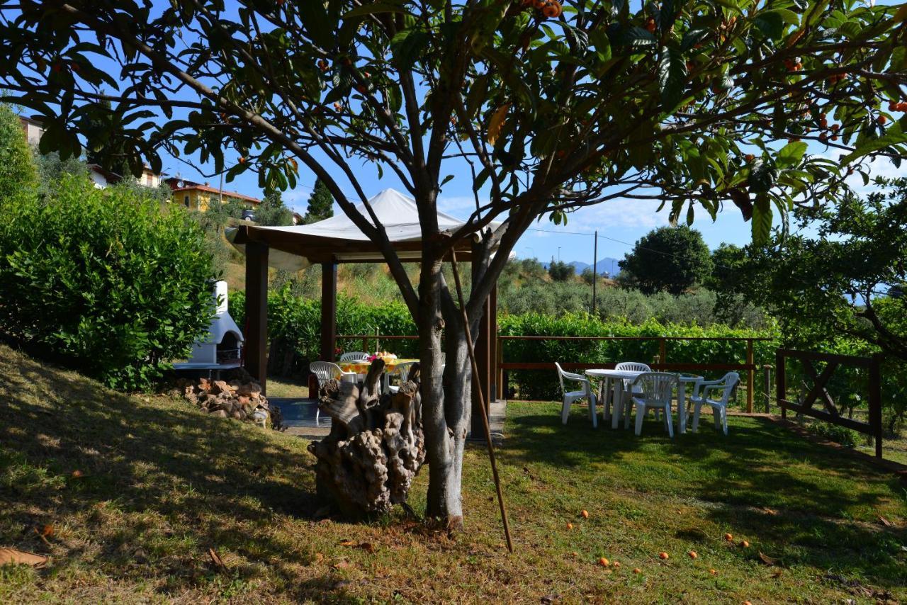 Antiche Mura Casa Vacanze Puegnago Ngoại thất bức ảnh
